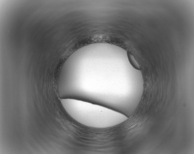X0000067380659200603311021