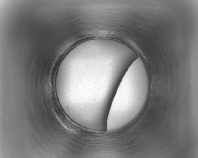 X0000067380674200603311021