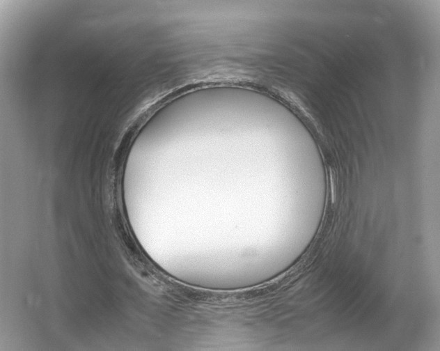 X0000067380675200603311021