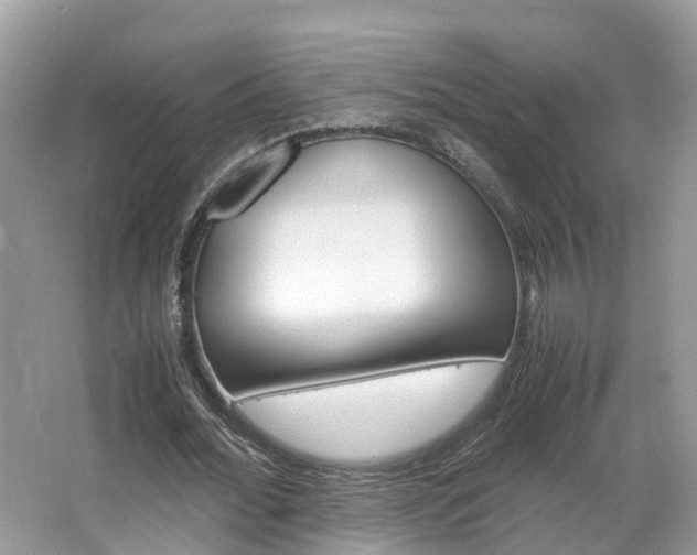 X0000067380676200603311021