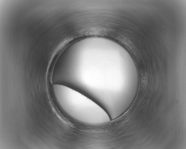 X0000067380678200603311021