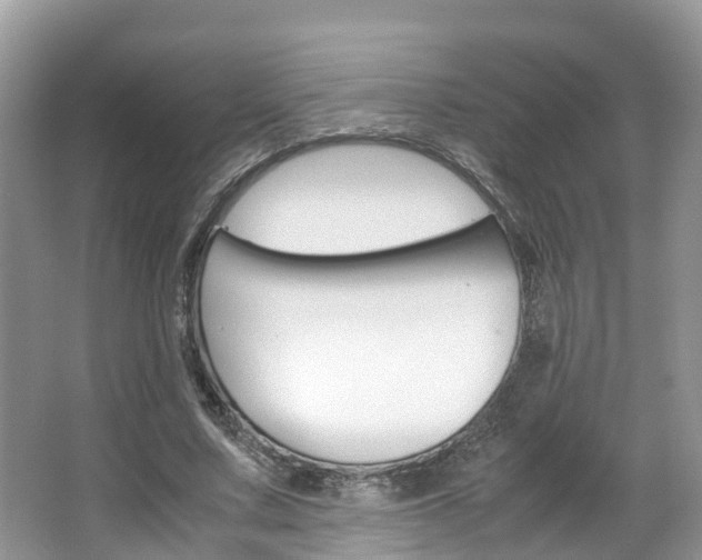 X0000067380683200603311021