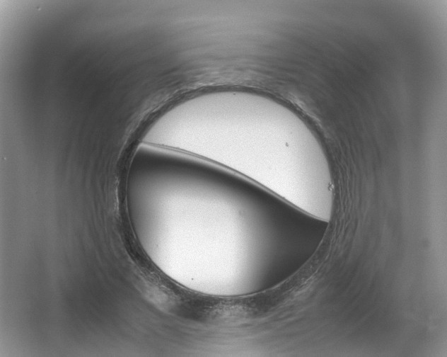 X0000067380685200603311021