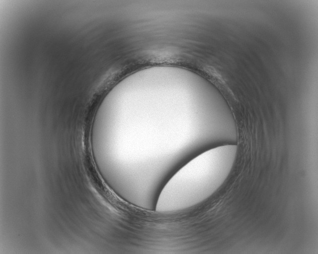 X0000067380686200603311021