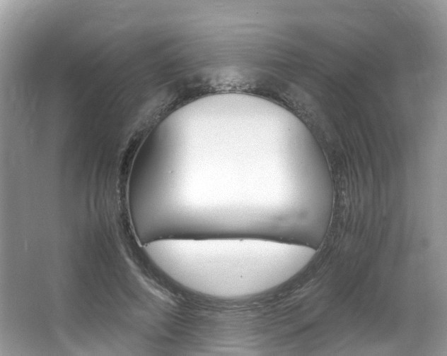 X0000067380690200603311021