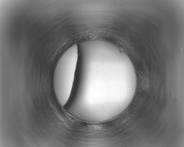 X0000067380698200603311020