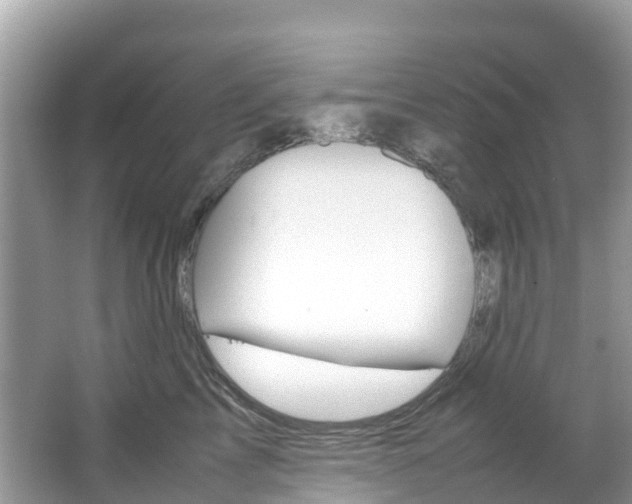 X0000067380713200603311020