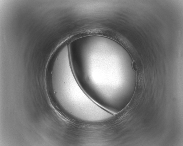 X0000067380722200603311019