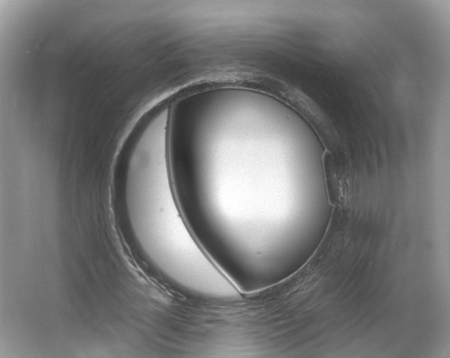 X0000067380724200603311019