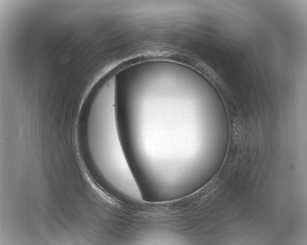 X0000067380726200603311019