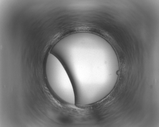 X0000067380729200603311019
