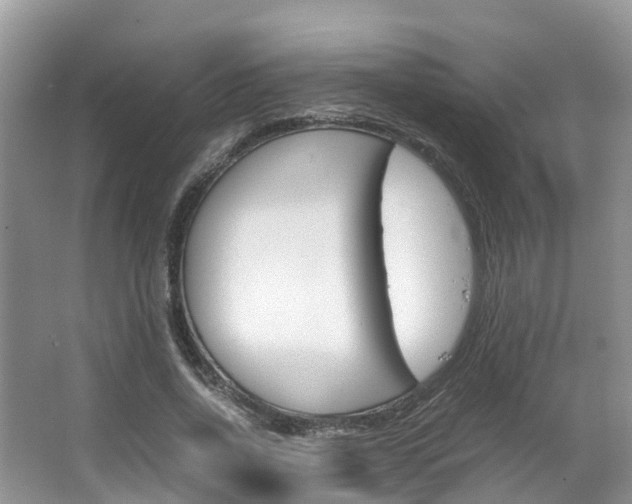 X0000067380734200603311020
