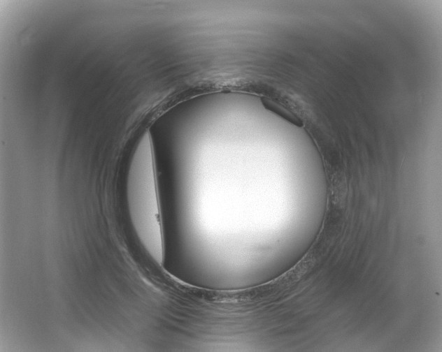 X0000067380740200603311020