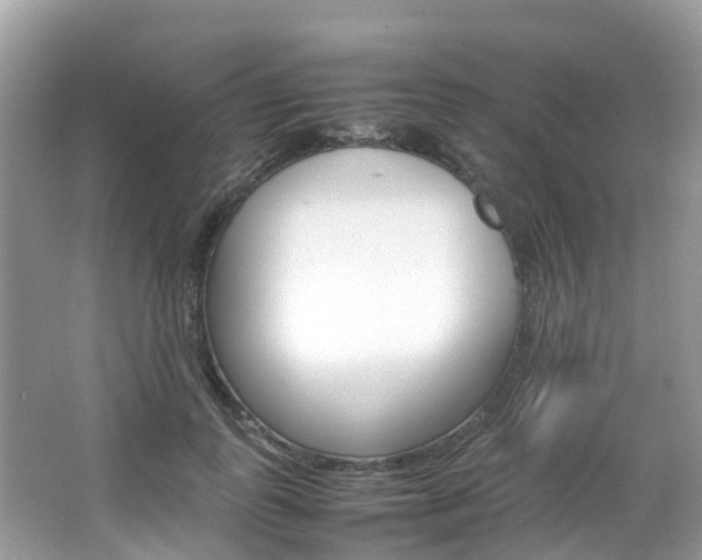 X0000067380747200603311020