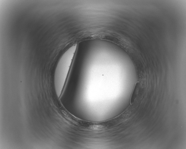 X0000067380748200603311020