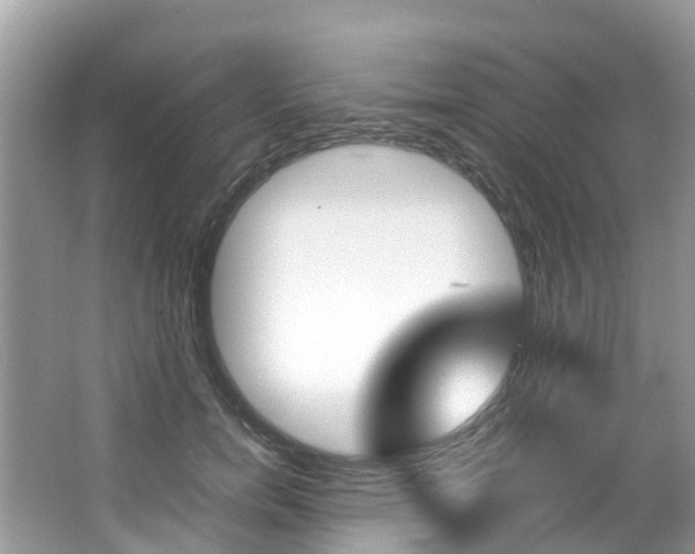 X0000067380750200603311020