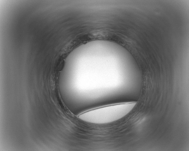 X0000067380751200603311020