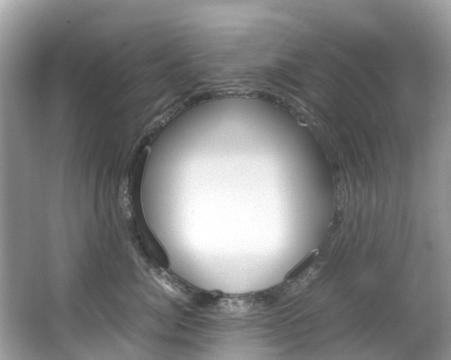 X0000067380764200603311020