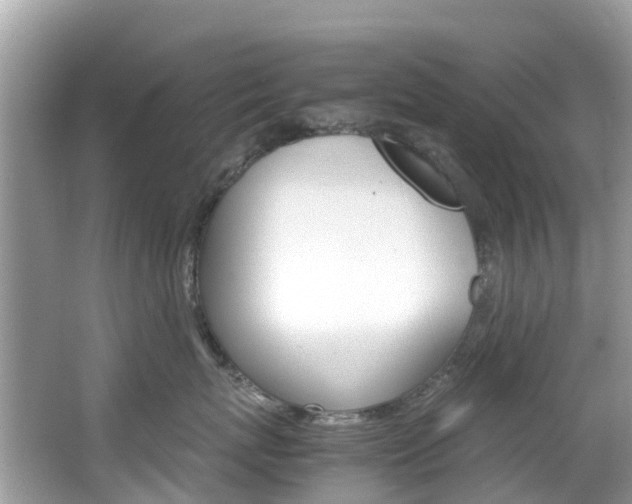 X0000067380767200603311020