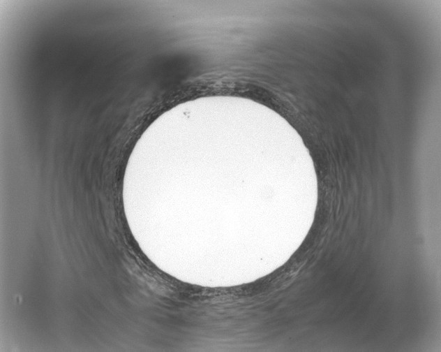 X0000067380769200603311019