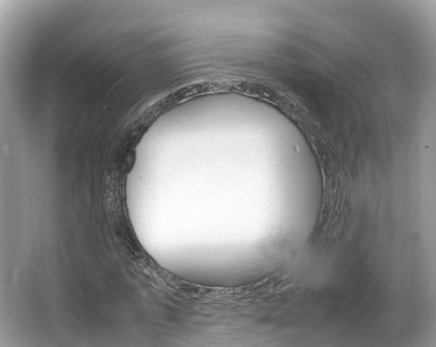 X0000067380773200603311019