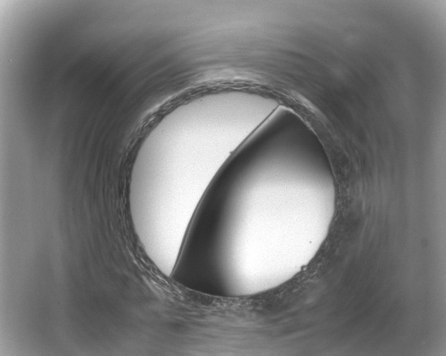 X0000067380775200603311019