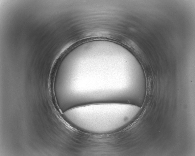 X0000067380780200603311019