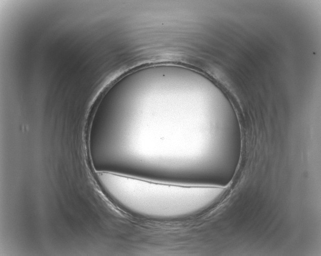 X0000067380789200603311019