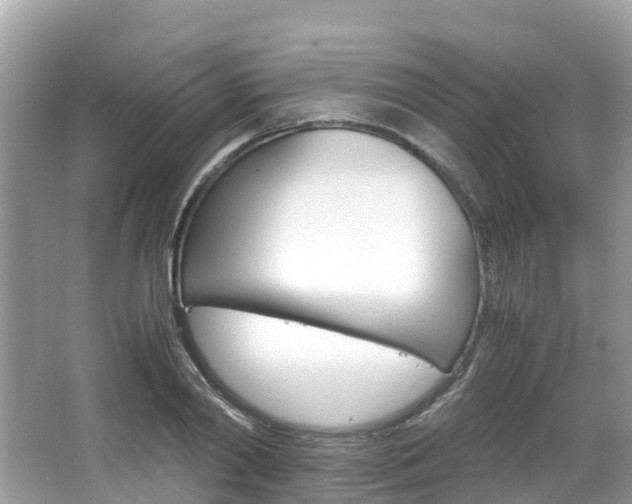 X0000067380790200603311019