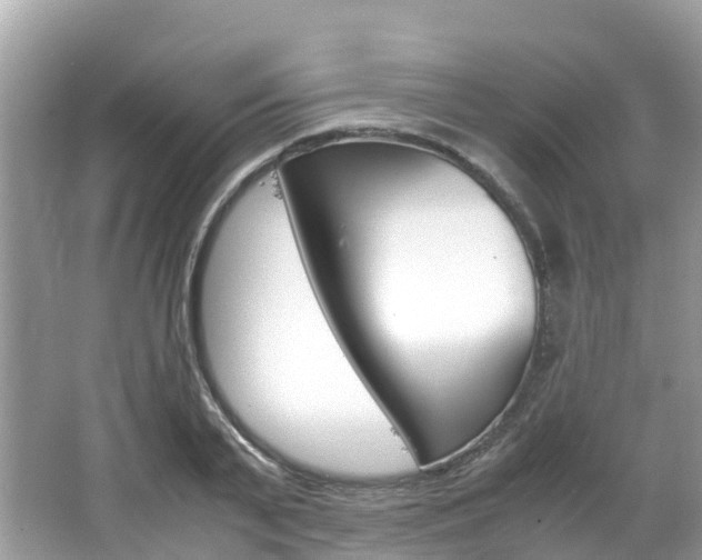 X0000067380791200603311019