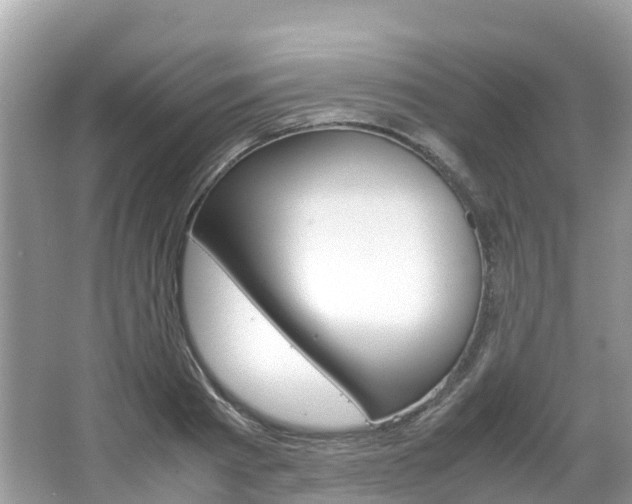 X0000067380793200603311019