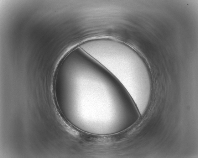 X0000067380797200603311019
