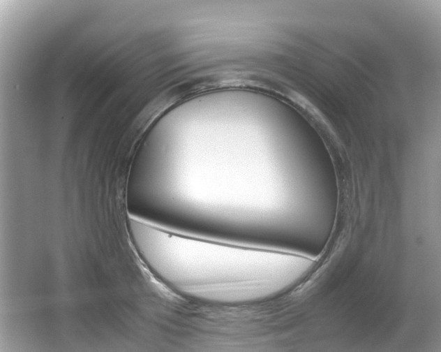 X0000067380801200603311019