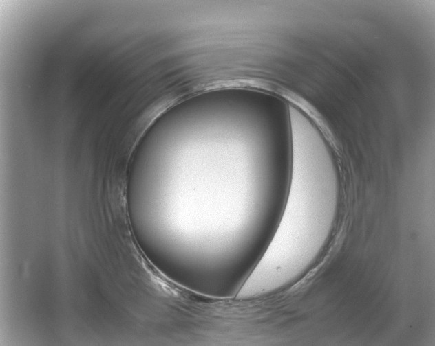X0000067380809200603311019