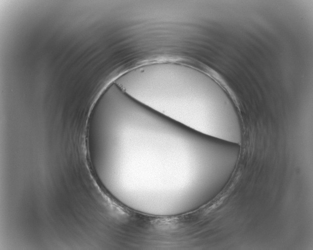X0000067380810200603311019