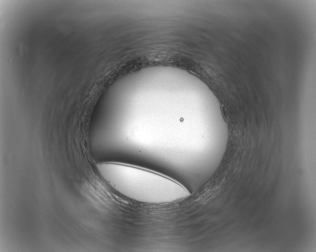 X0000067380817200603311018