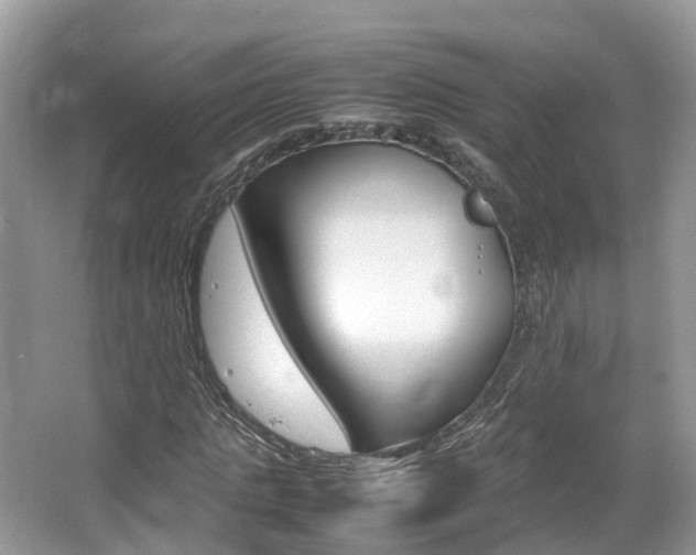 X0000067380821200603311018