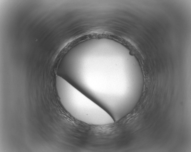 X0000067380823200603311018