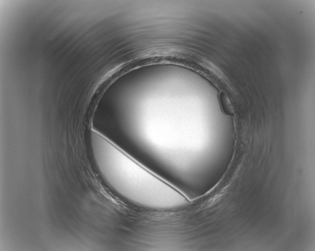 X0000067380826200603311018