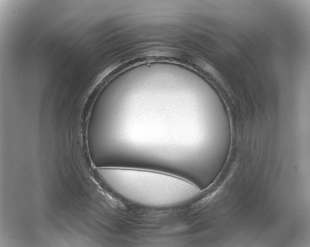 X0000067380829200603311018