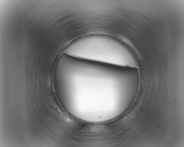 X0000067380833200603311018