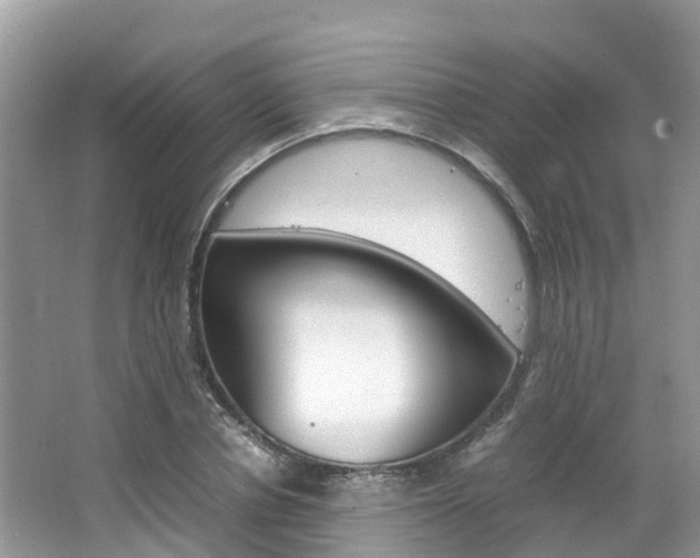X0000067380834200603311018