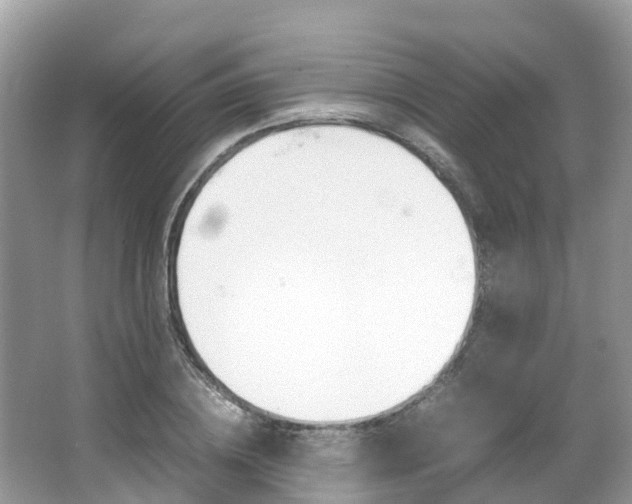 X0000067380836200603311018