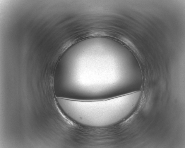X0000067380849200603311018
