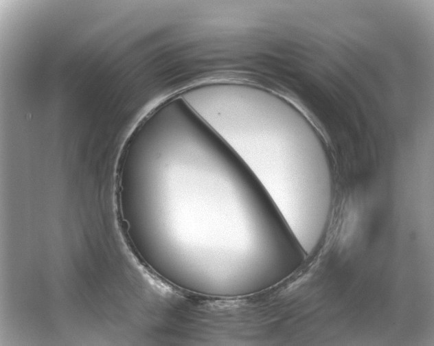 X0000067380853200603311018