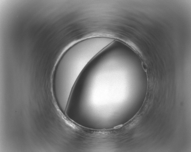 X0000067380854200603311018