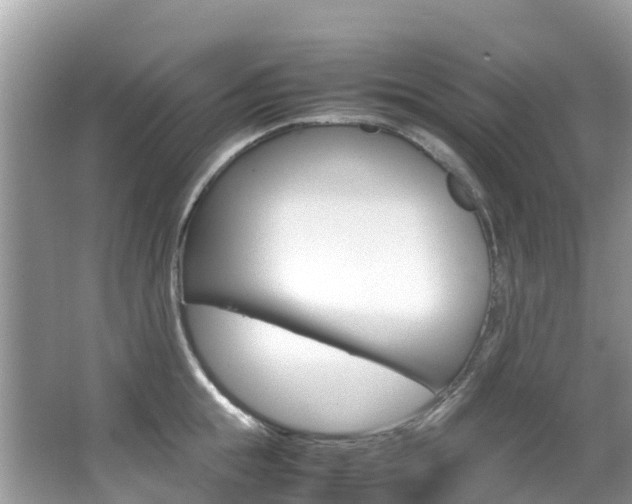X0000067380855200603311018