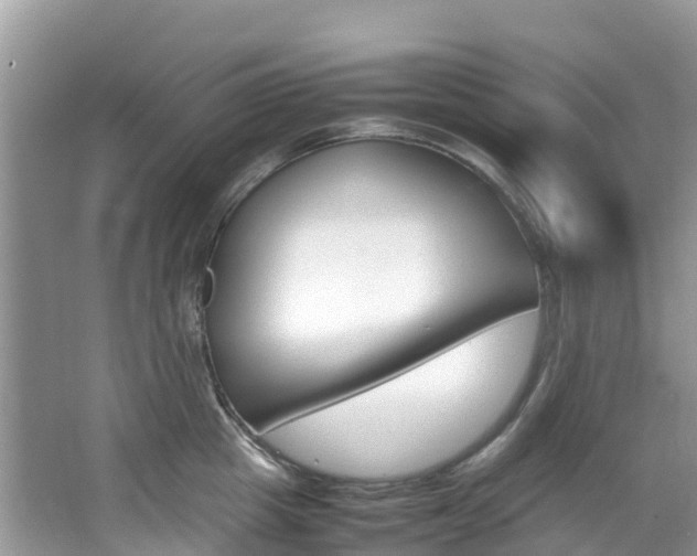 X0000067380857200603311018