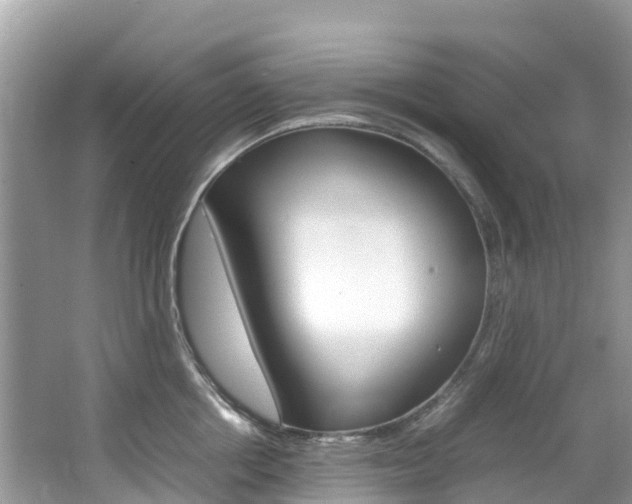 X0000067380858200603311018