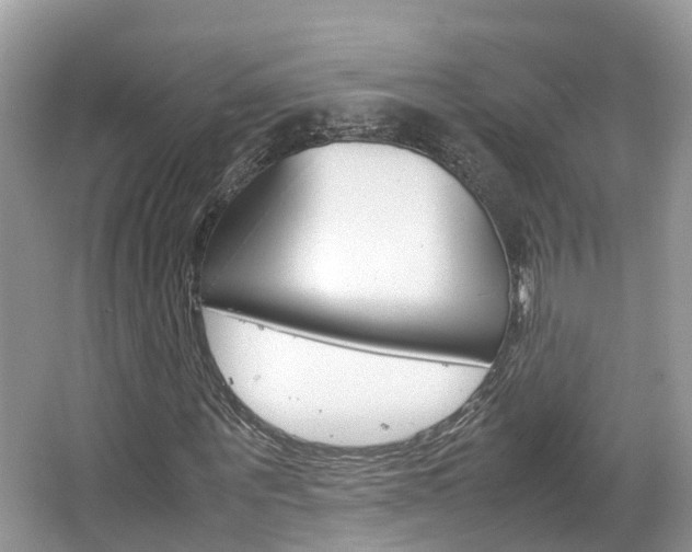 X0000067380867200603311018